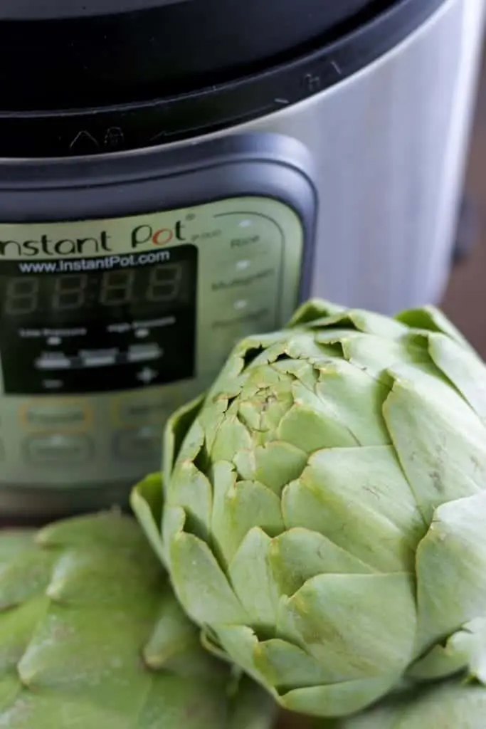 Artichokes ready to be cooked in the Instant Pot