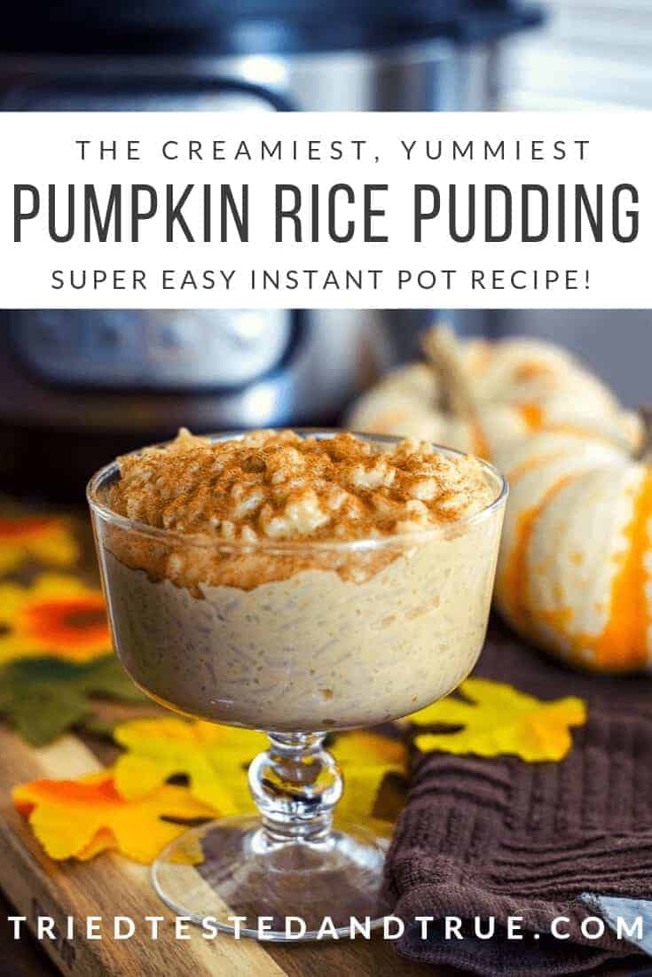 Instant Pot Pumpkin Rice Pudding Tried, Tested, + True 20 minutes!
