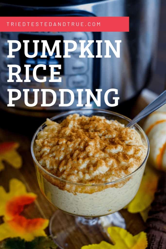 A bowl of Pumpkin Rice Pudding instant pot rice pudding recipe