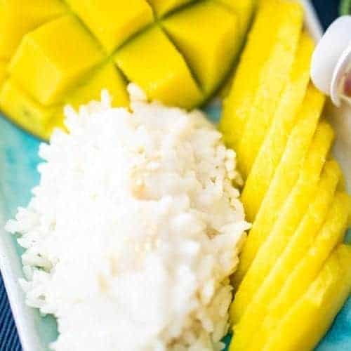 https://triedtestedandtrue.com/wp-content/uploads/2020/08/mango-sticky-rice-04-500x500.jpg