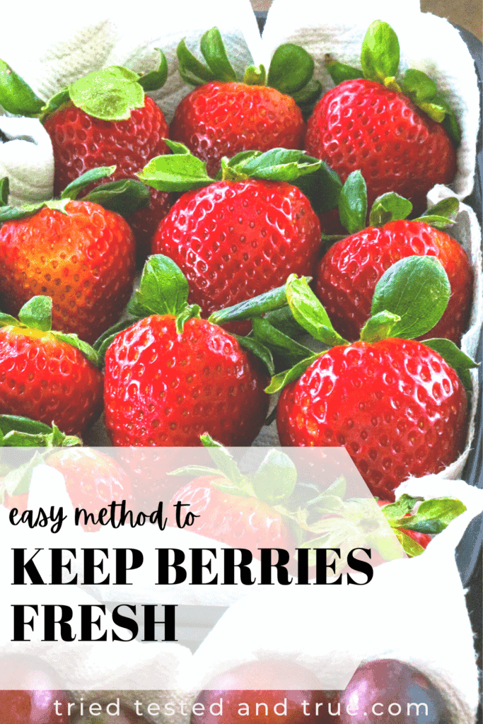 how to keep berries fresh up to 21 days