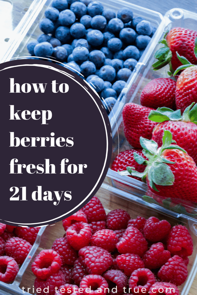 How to Store Berries: How to Store Fresh Fruit, Containers the Preserve  Fresh Fruit