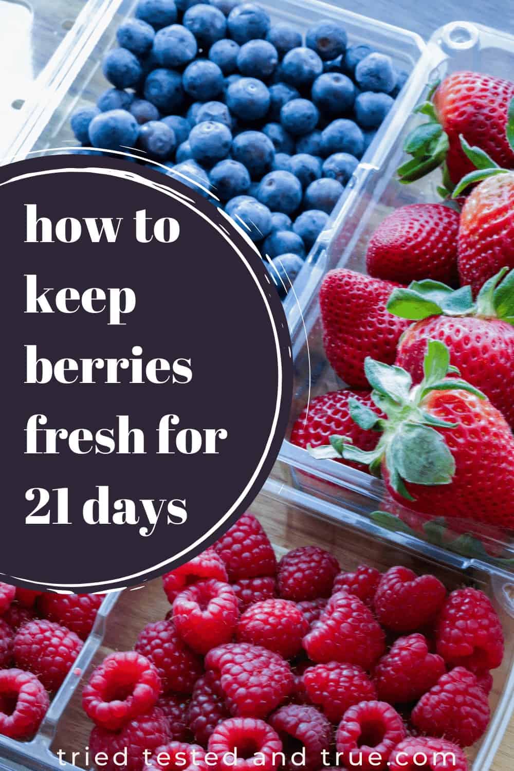 How to Keep Berries Fresh up to 21 Days with all my Best Berry Tips