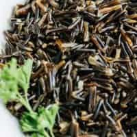 close up wild rice