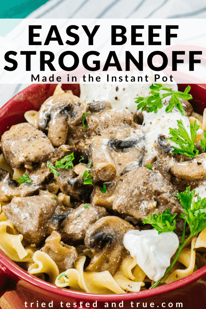 Graphic of Easy Beef Stroganoff made in the Instant Pot with one picture of a bowl of stroganoff.