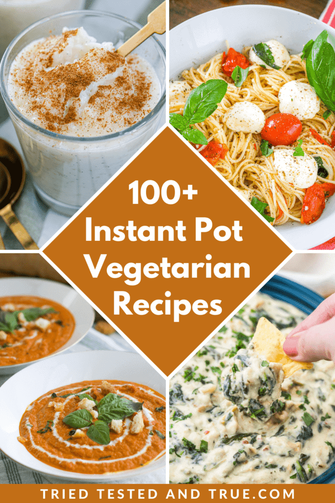 Graphic of 100 Instant Pot Vegetarian Recipes with 4 photos of a pasta, a bowl of soup, rice pudding, and spinach dip.