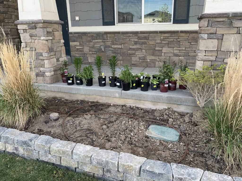 new flowers being planted in a flower bed