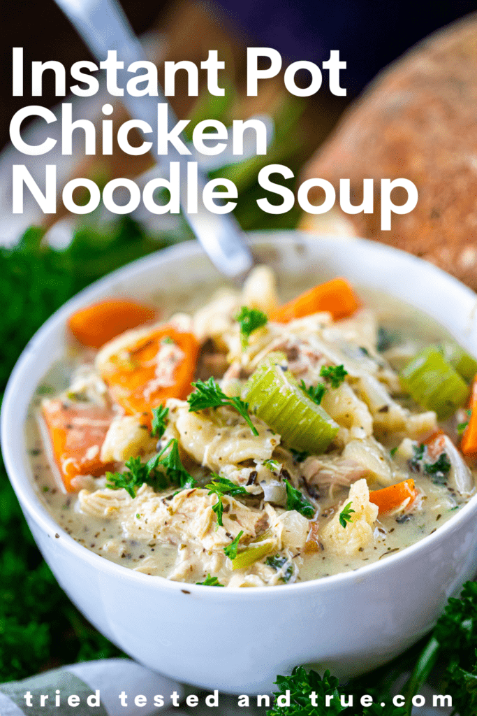Graphic of Instant Pot Chicken Noodle Soup with a picture of a bowl of soup