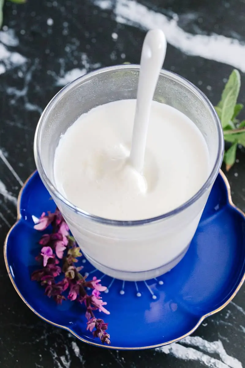 How to Make Instant Pot Yogurt - 2 Ways » LeelaLicious