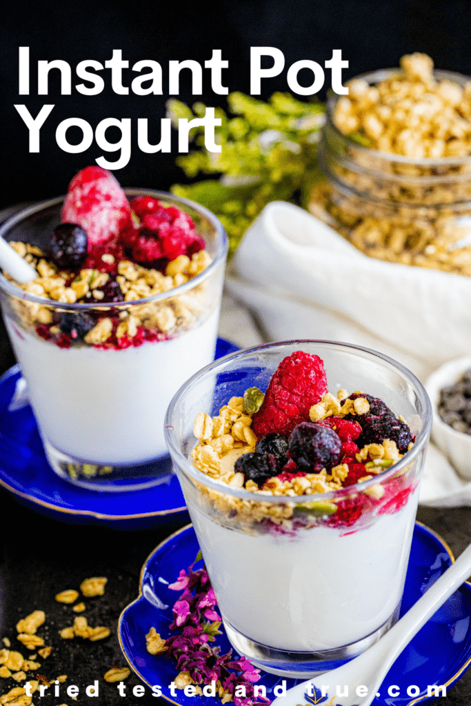 Flavored Instant Pot Yogurt - Adventures of a Nurse