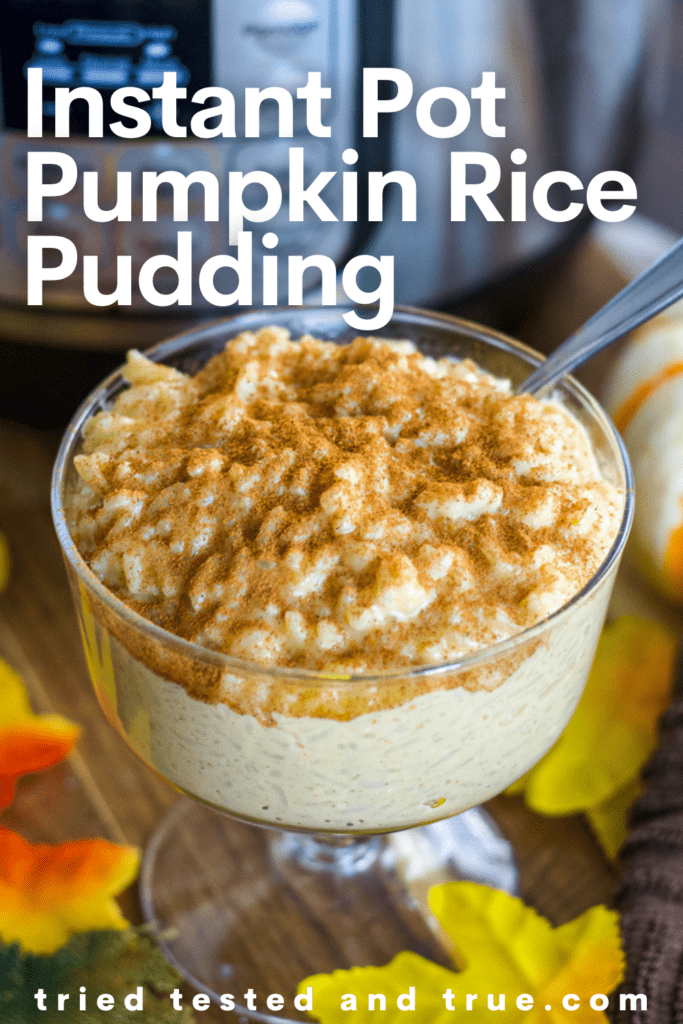 Graphic of Instant Pot Pumpkin Rice Pudding with a picture of a bowl of rice pudding.