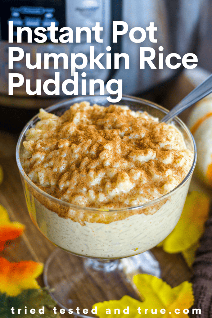 Graphic of Instant Pot Pumpkin Rice Pudding with a picture of a glass of pumpkin rice pudding topped with cinnamon surrounded by fall colored leaves.