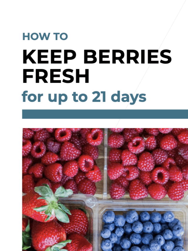 Keep Berries Fresh